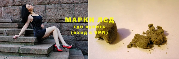 ПСИЛОЦИБИНОВЫЕ ГРИБЫ Верея