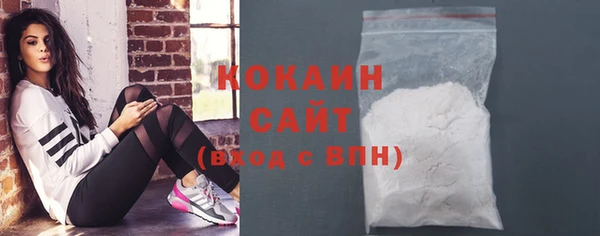 ПСИЛОЦИБИНОВЫЕ ГРИБЫ Верея