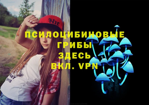 ПСИЛОЦИБИНОВЫЕ ГРИБЫ Верея
