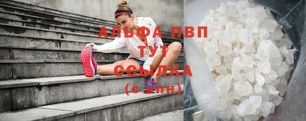 ПСИЛОЦИБИНОВЫЕ ГРИБЫ Верея